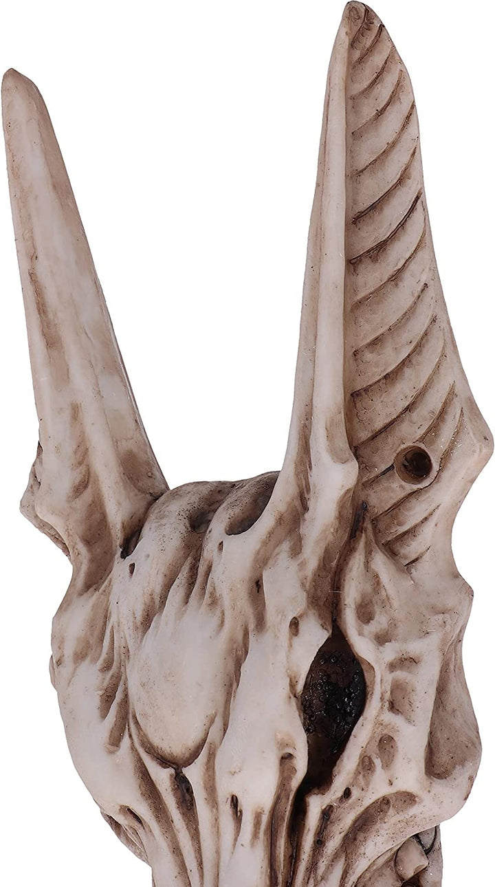 Nemesis Now Anubis' Guard Türklopfer 25,4 cm, Braun