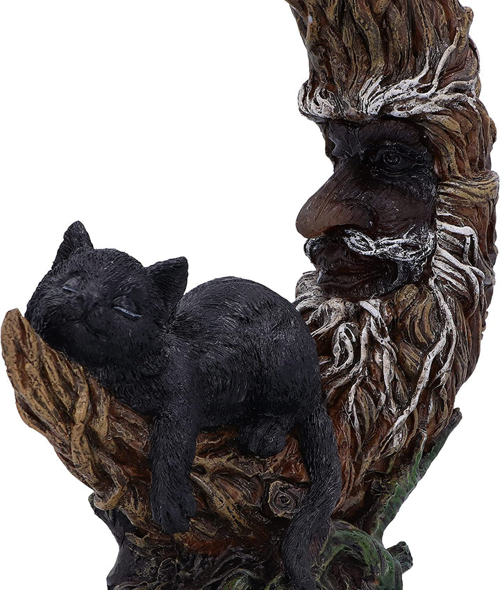 Nemesis Now Familiar Slumber 21,2 cm, Braun