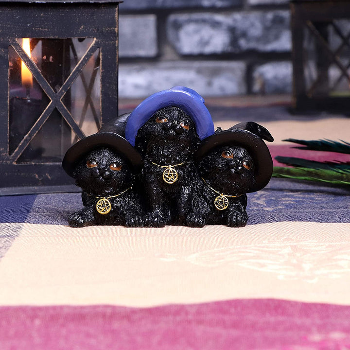 Nemesis Now Familiar Felines Figur, schwarze Katzen mit Hexenhüten, 9,8 cm