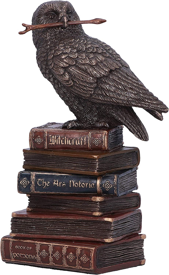 Bronzene Spellcraft Witches Familiar Eule auf Buchfigur