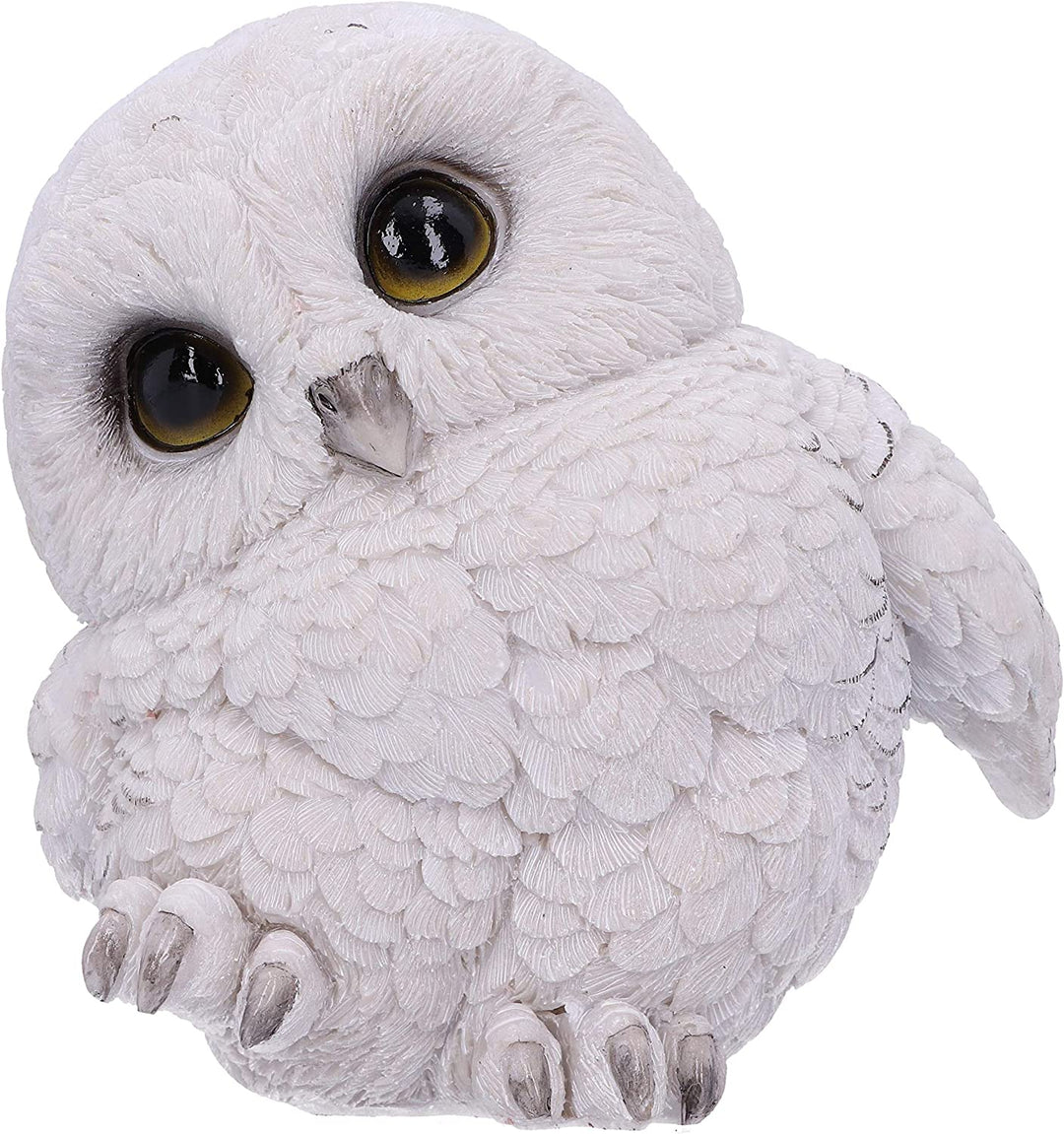 Nemesis Now Feathers niedliche runde Schneeeulen-Figur, weiß, 12,5 cm (U5473T1)