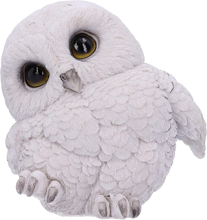 Nemesis Now Feathers niedliche runde Schneeeulen-Figur, weiß, 12,5 cm (U5473T1)