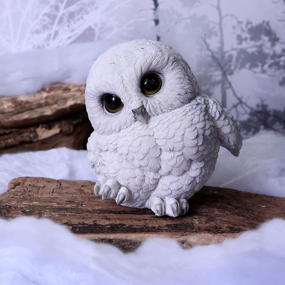 Nemesis Now Feathers niedliche runde Schneeeulen-Figur, weiß, 12,5 cm (U5473T1)