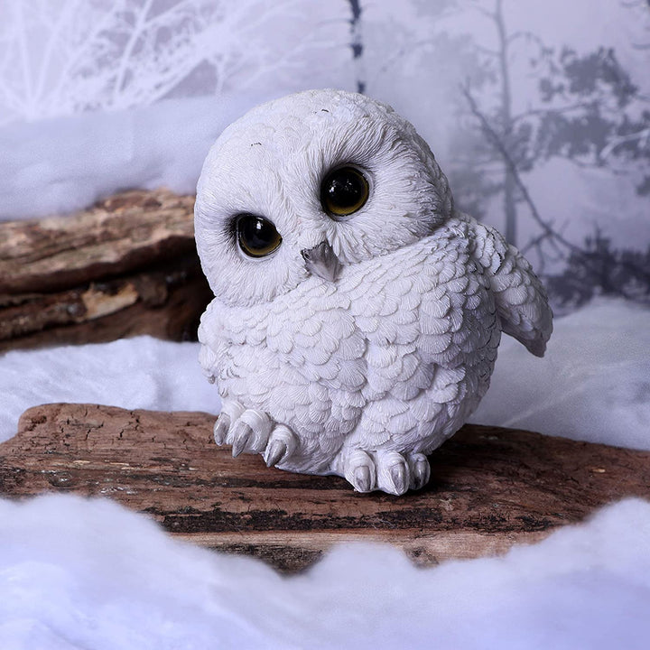 Nemesis Now Feathers niedliche runde Schneeeulen-Figur, weiß, 12,5 cm (U5473T1)