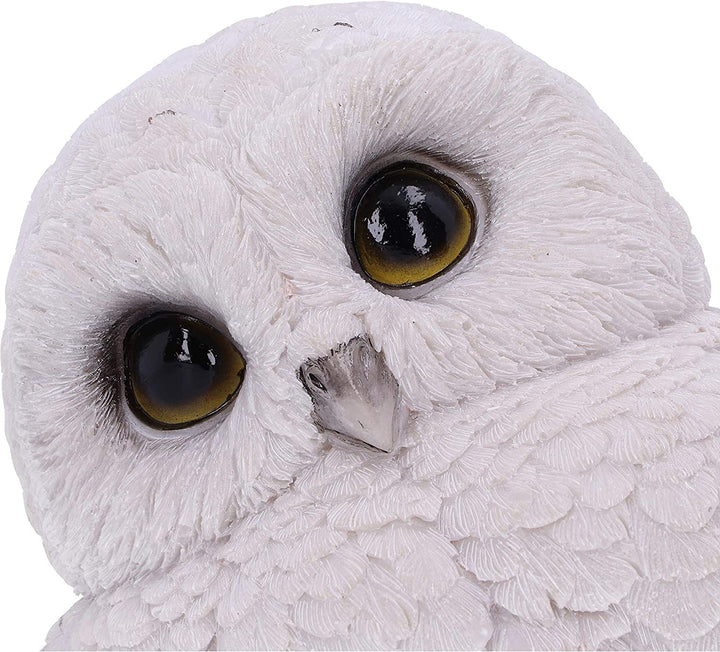 Nemesis Now Feathers niedliche runde Schneeeulen-Figur, weiß, 12,5 cm (U5473T1)