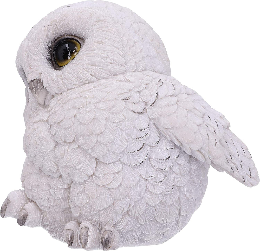 Nemesis Now Feathers niedliche runde Schneeeulen-Figur, weiß, 12,5 cm (U5473T1)