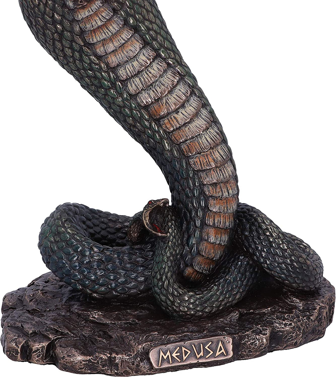 Nemesis Now Bronze mythologische Zornfigur der Medusa, 36 cm, C5444T1