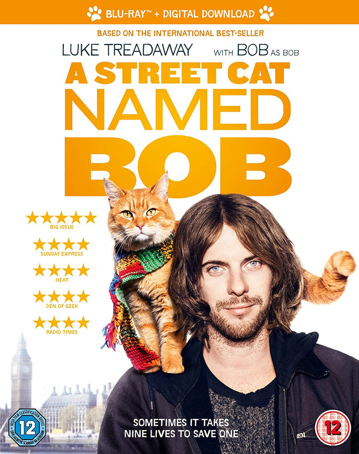 Eine Straßenkatze namens Bob [2016] [Region Free]