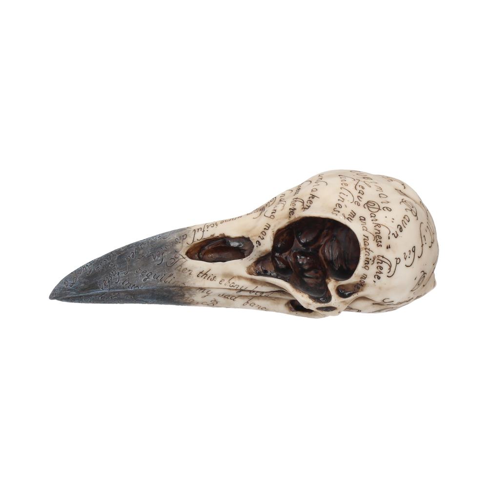 Nemesis Now Edgar's Rabenschädel-Figur, 25 cm, elfenbeinfarben