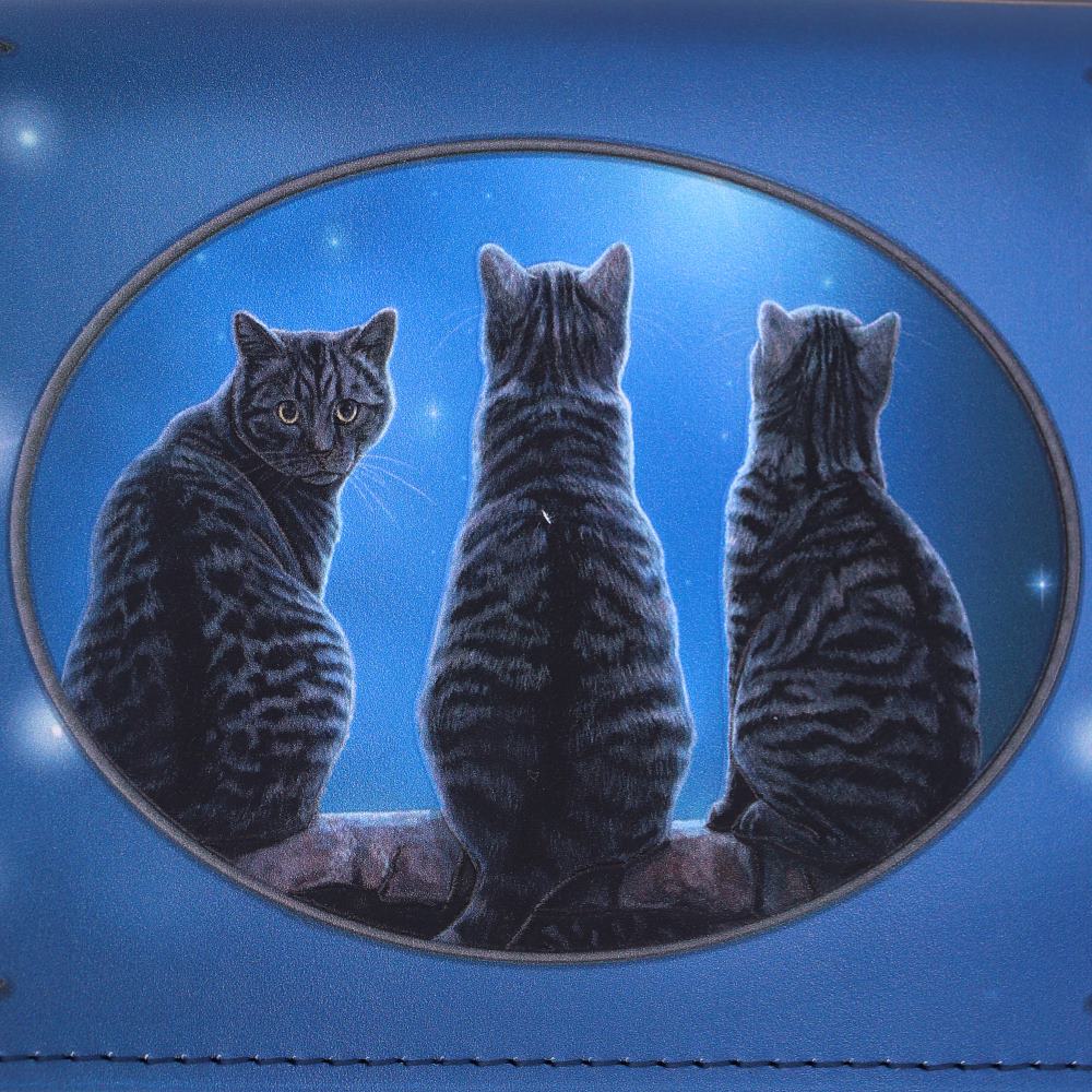 Nemesis Now B3940K8 Wish Upon a Star Lisa Parker geprägte Geldbörse, 18,5 cm, Blau, PU