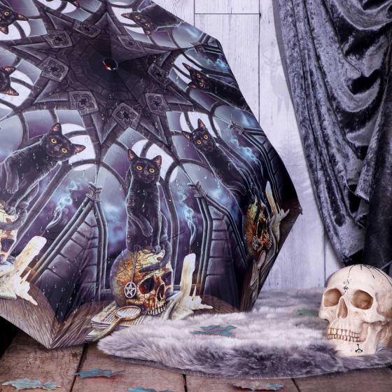 Nemesis Now Spirits of Salem Regenschirm (LP), Schwarz, 55 cm
