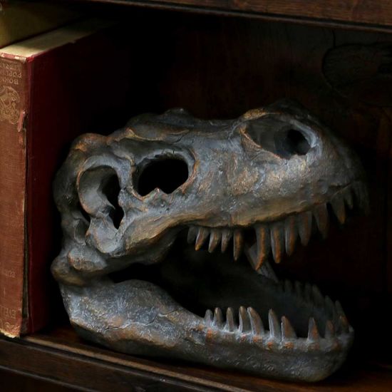 Nemesis Now Tyrannosaurus Rex Totenkopf, freistehende Figur, 18,5 cm, Grau
