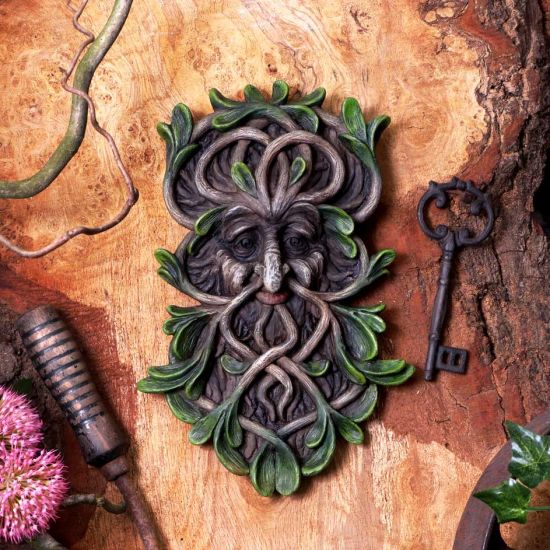 Nemesis Now Tawnya Tree Spirit Wandschild, Braun, 28,8 cm
