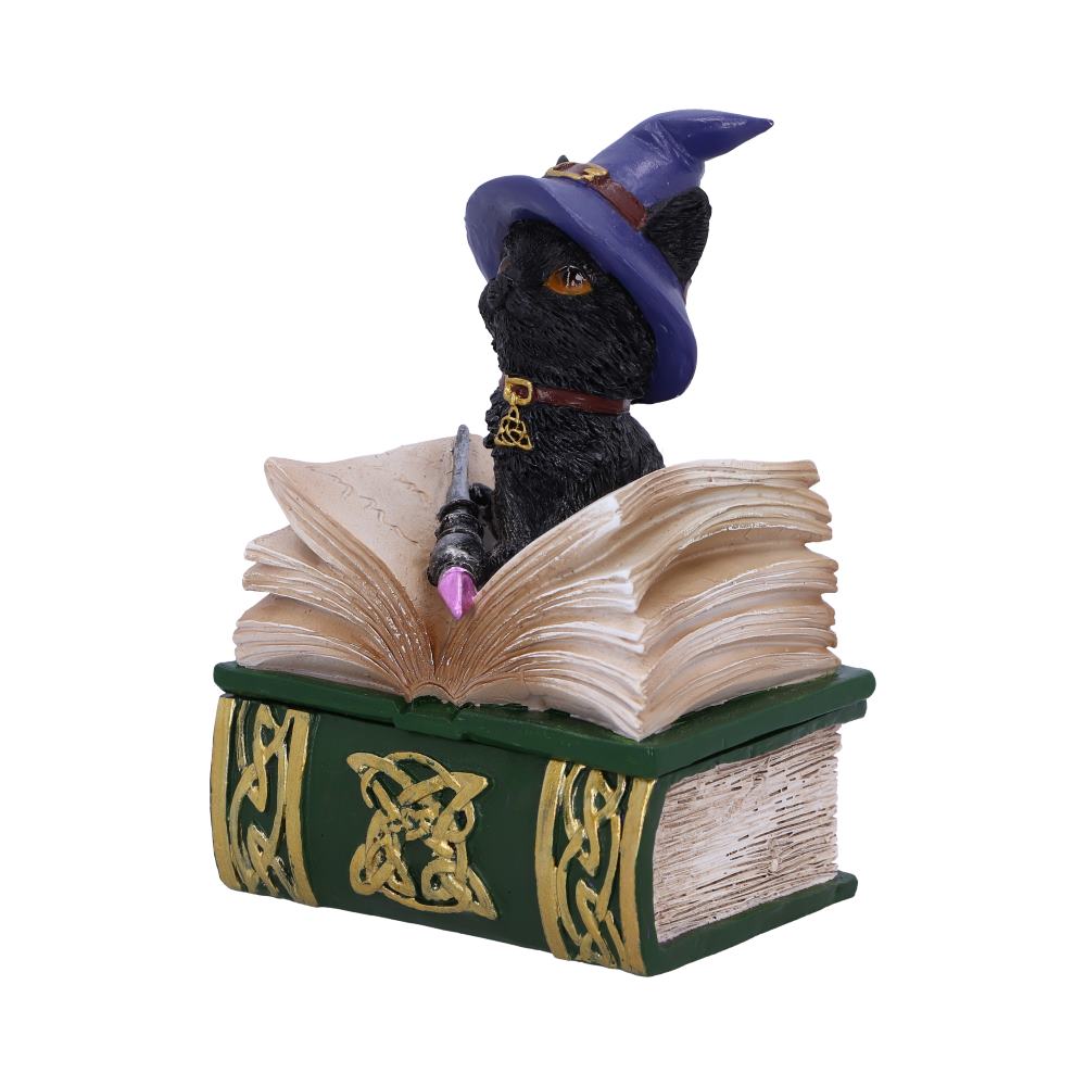 Nemesis Now Wiccan & Witchcraft - Binx Small Witches Familiar Black Cat and Spellbook Figurine Box 4