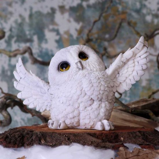 Nemesis Now Snowy Delight Eulenfigur, 20,5 cm, Weiß